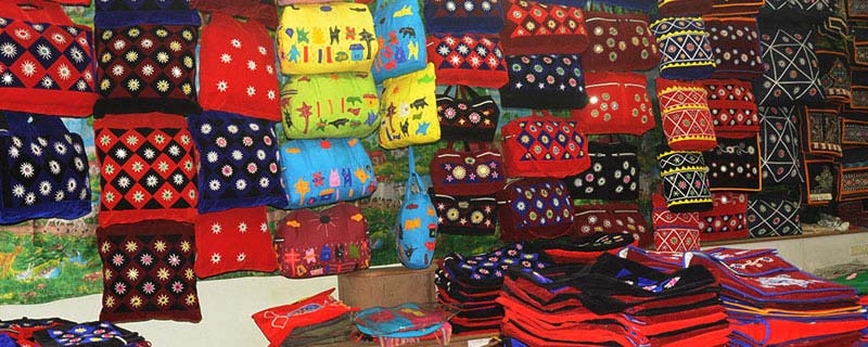 Pipili Applique Village